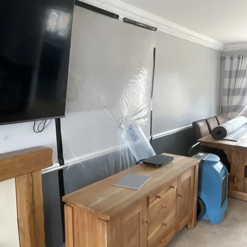 Mr. Leak: Water damage Drying Services