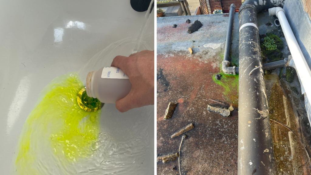 Drainage Dye Testing